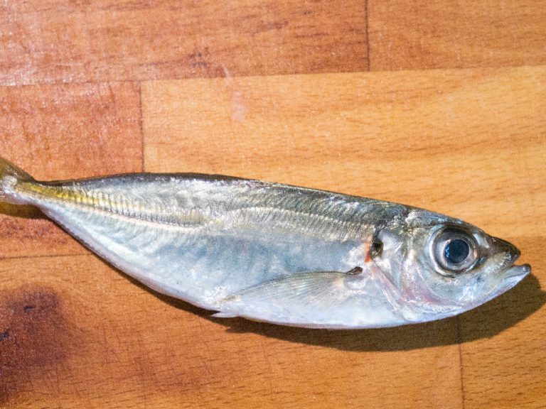 竹筴魚處理方法 步驟1