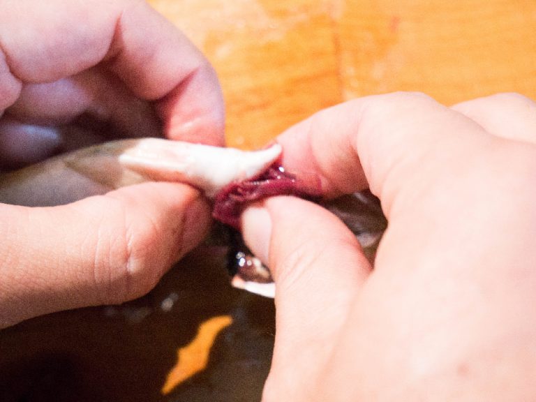竹筴魚處理方法 步驟5