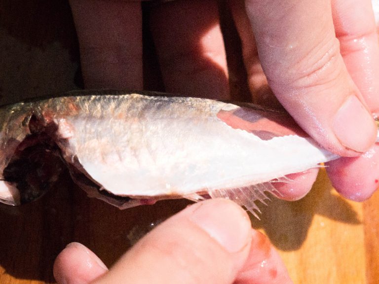 竹筴魚處理方法 步驟8