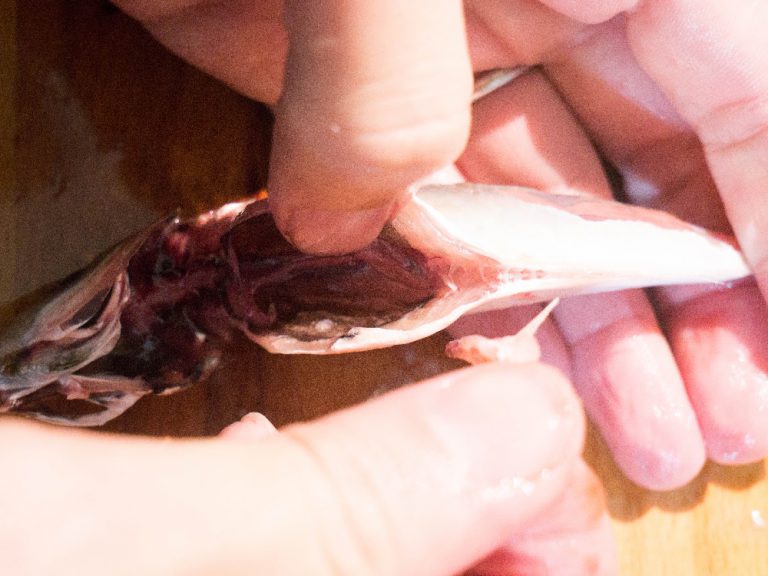 竹筴魚處理方法 步驟9