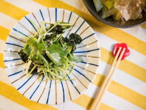 鴨兒芹佐海苔沙拉