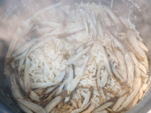 電鍋料理｜鮪魚牛蒡炊飯