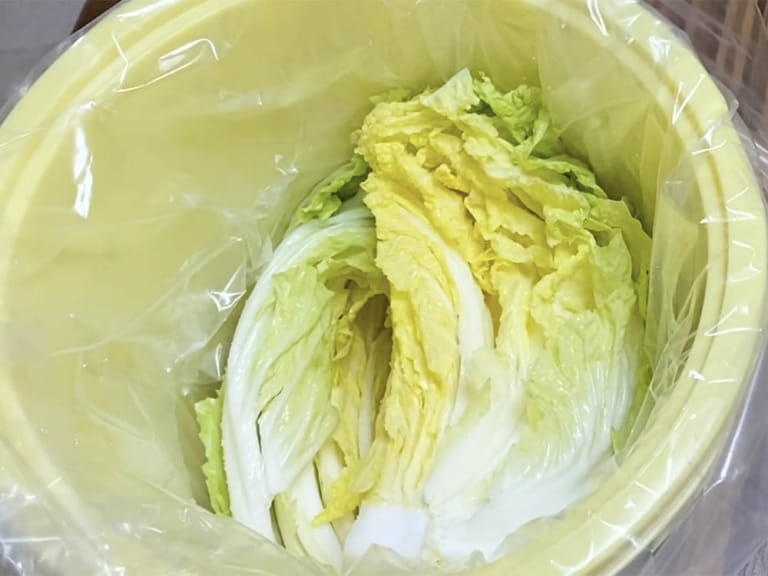 傳統的日式醃漬白菜 步驟5