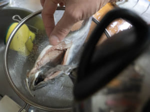 經典定食  日式醬煮魚|魚の煮付け
