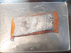 日式定食，鮭魚味噌燒｜紐西蘭冰河帝王鮭