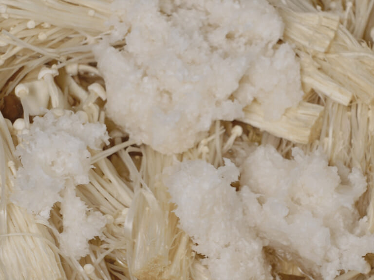 雪見白蘿蔔泥火鍋｜清爽解膩 步驟5