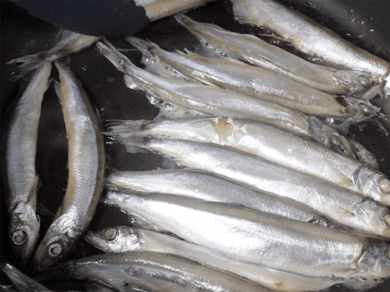 南蠻漬柳葉魚 步驟3