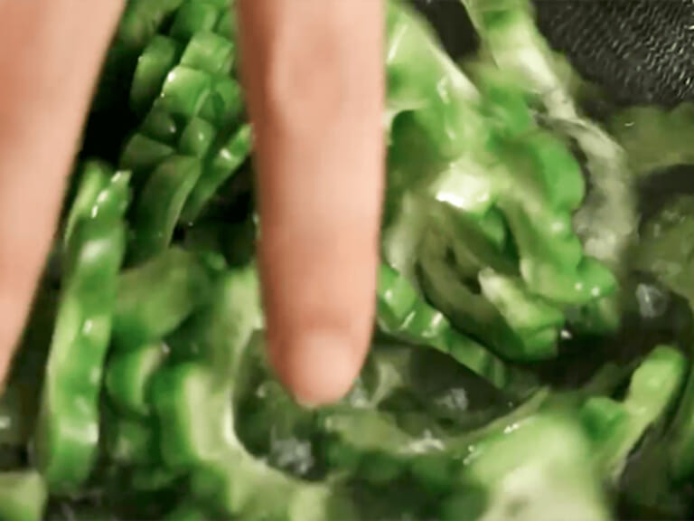 柴魚鹽麴苦瓜漬物 步驟2