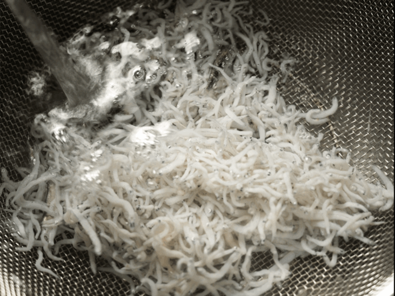 【寶寶副食品】吻仔魚海帶粥 步驟1