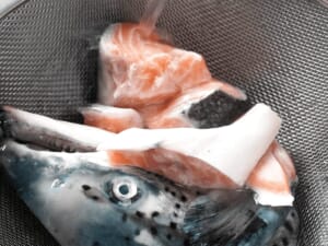 魚頭水菜味噌湯