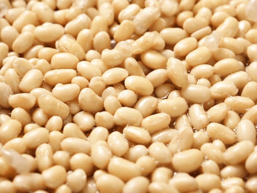 黃豆的處理方法