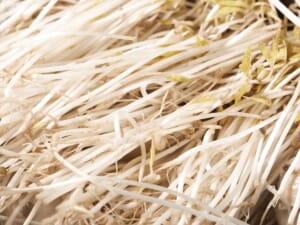 無水韓式泡菜豆乳鍋