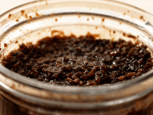 一週熟成・萬用沙茶醬鹽麴