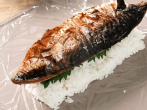 鯖魚押壽司