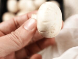 蒜香起司炸洋菇片