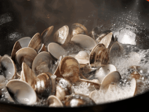 奶油高湯蛤蠣義大利麵