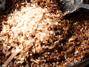 甘辛生薑洋蔥拌飯